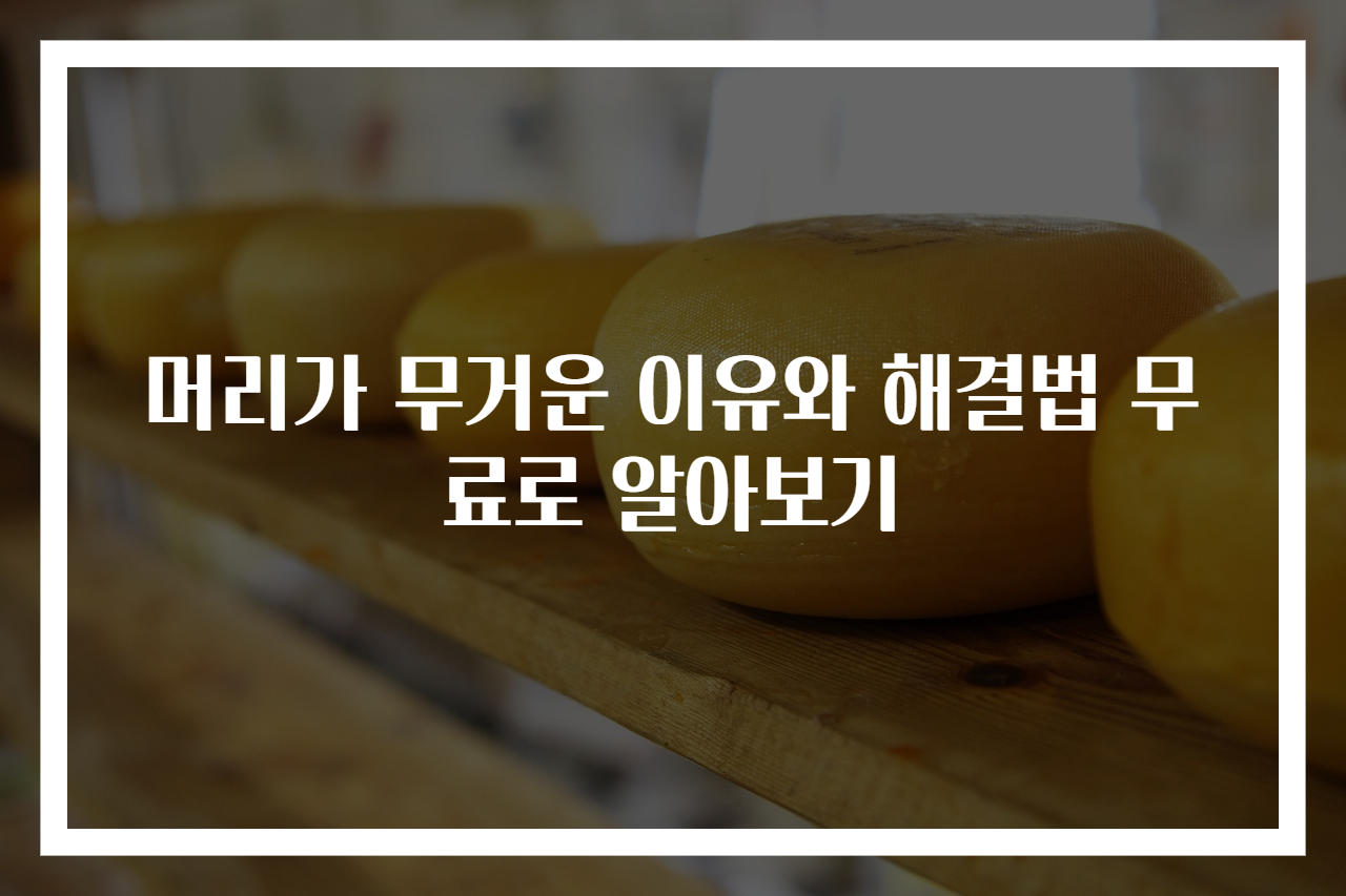 머리가 무거운 이유와 해결법 무료로 알아보기