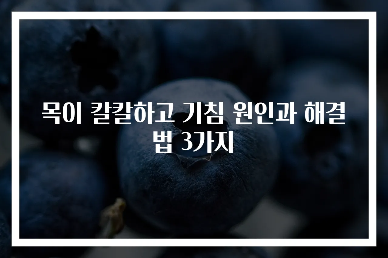목이 칼칼하고 기침 원인과 해결법 3가지
