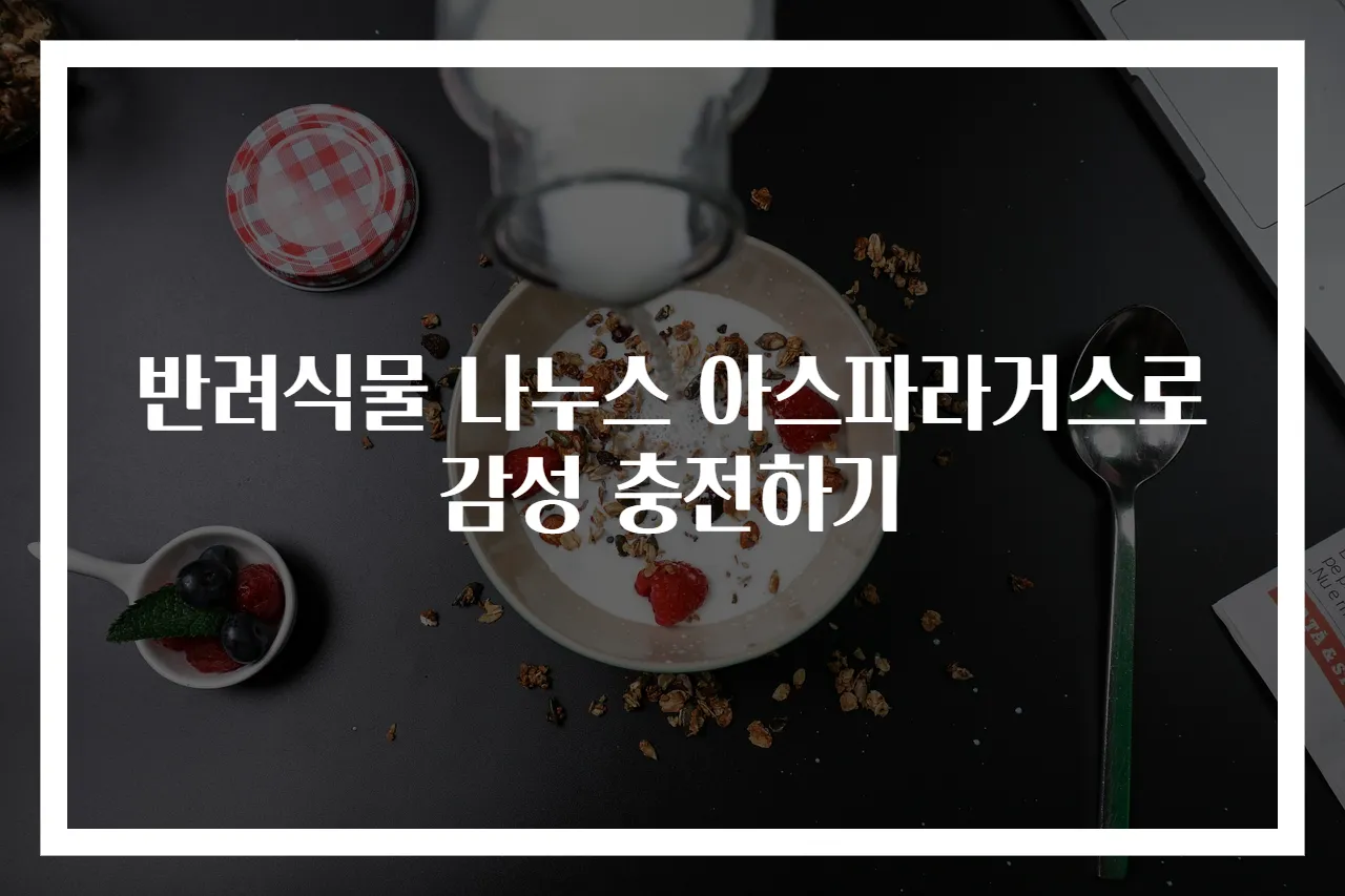 반려식물 나누스 아스파라거스로 감성 충전하기