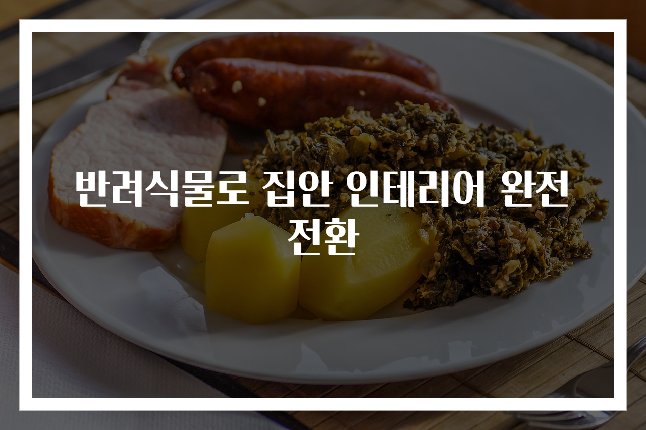 반려식물로 집안 인테리어 완전전환