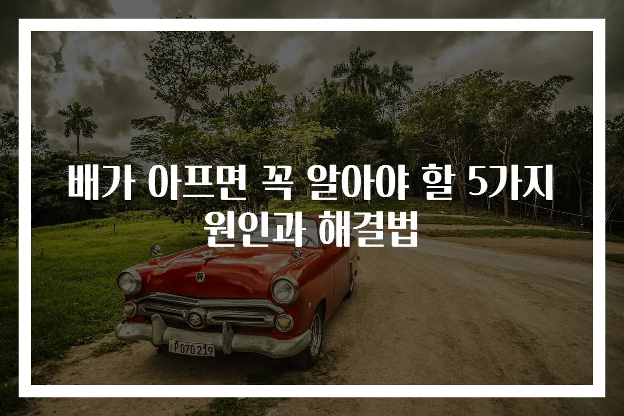 배가 아프면 꼭 알아야 할 5가지 원인과 해결법