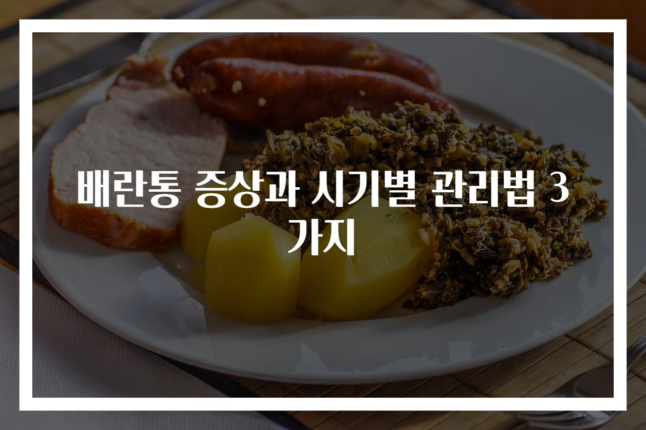 배란통 증상과 시기별 관리법 3가지