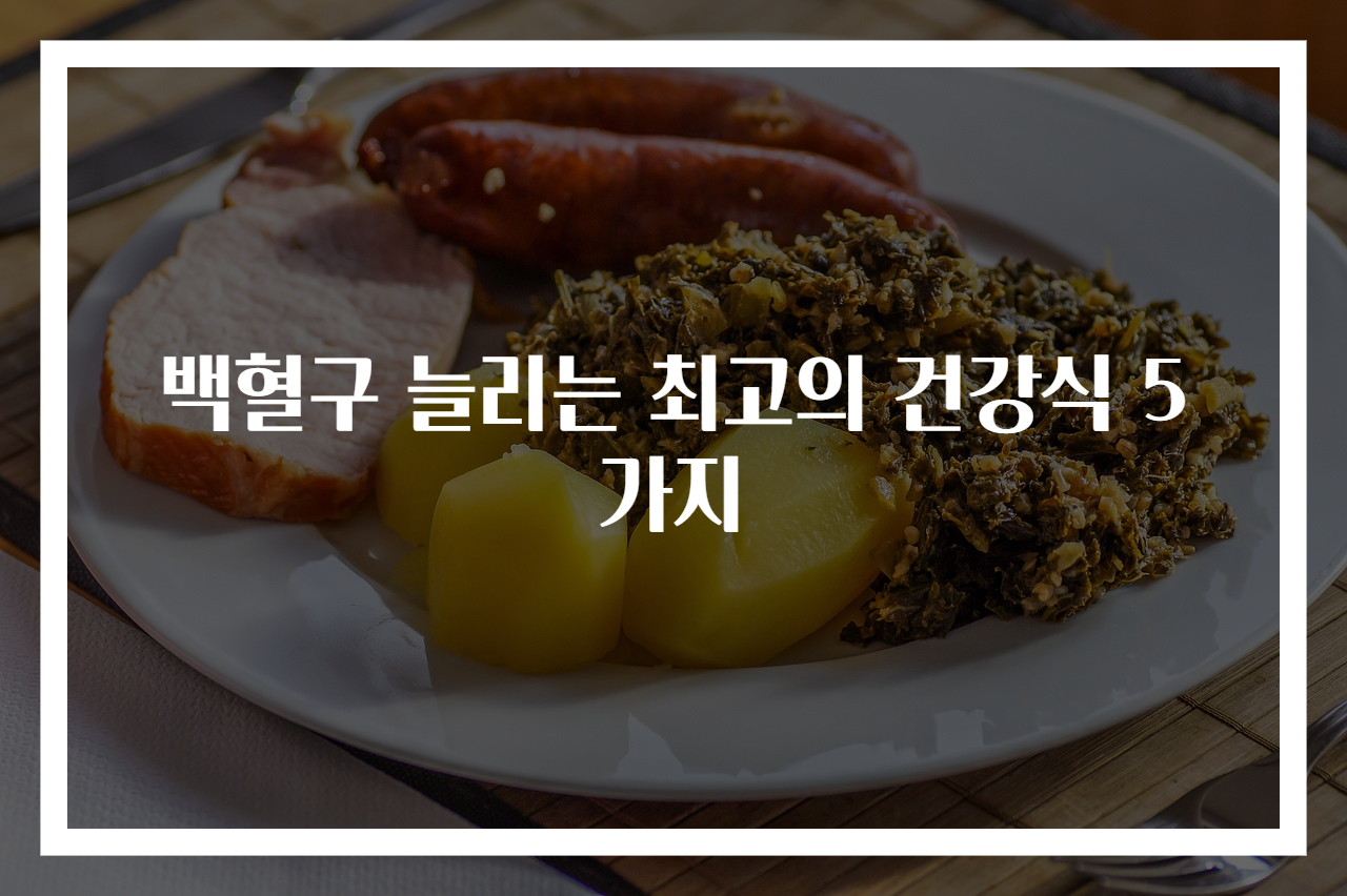 백혈구 늘리는 최고의 건강식 5가지