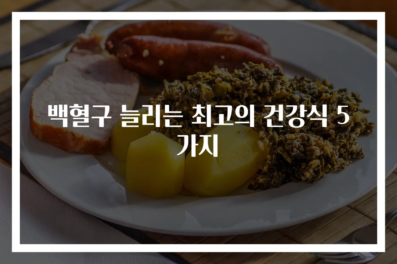 백혈구 늘리는 최고의 건강식 5가지