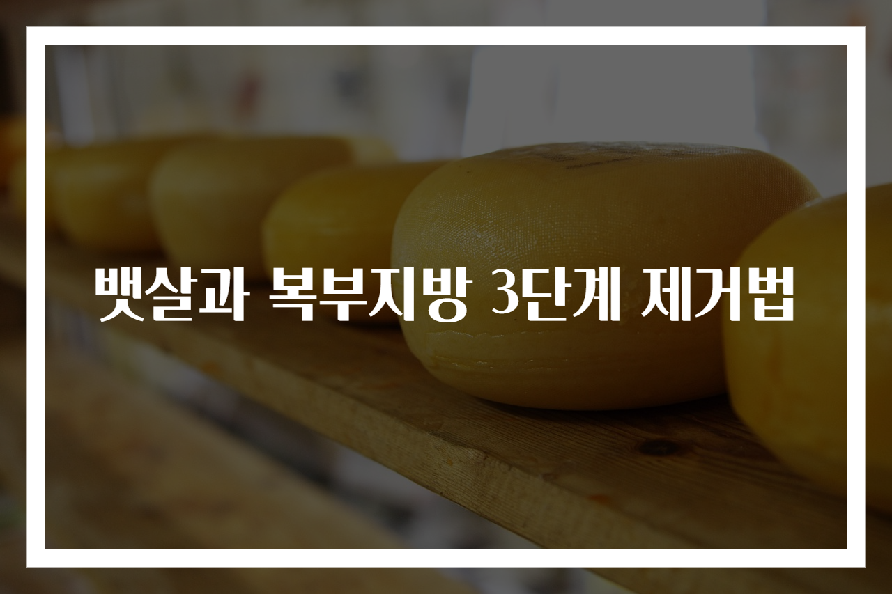 뱃살과 복부지방 3단계 제거법