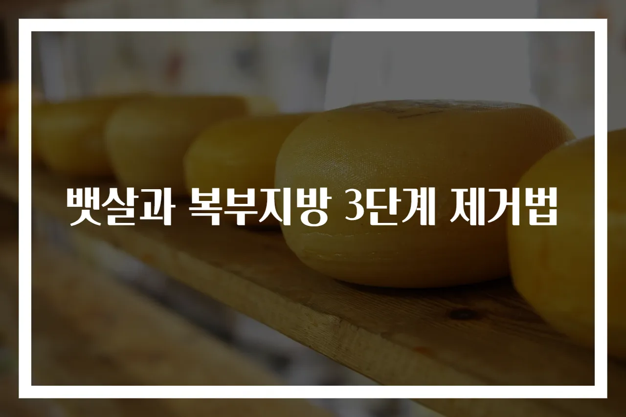 뱃살과 복부지방 3단계 제거법
