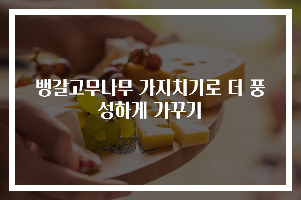 뱅갈고무나무 가지치기로 더 풍성하게 가꾸기