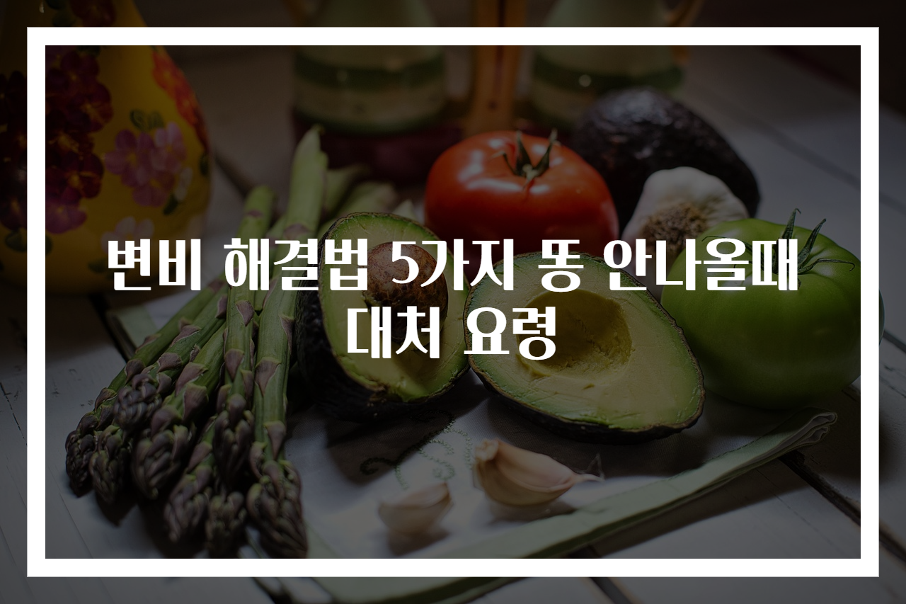 변비 해결법 5가지 똥 안나올때 대처 요령