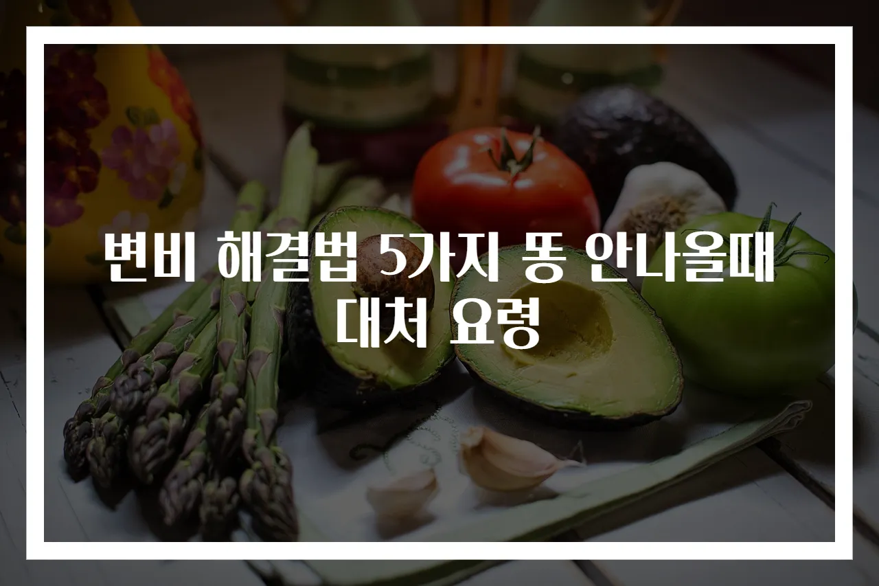 변비 해결법 5가지 똥 안나올때 대처 요령
