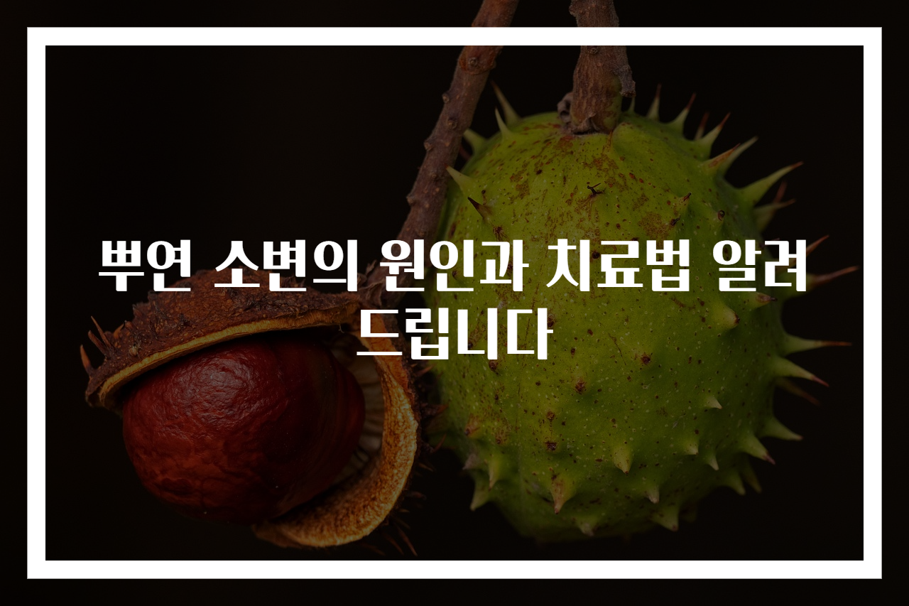 뿌연 소변의 원인과 치료법 알려드립니다