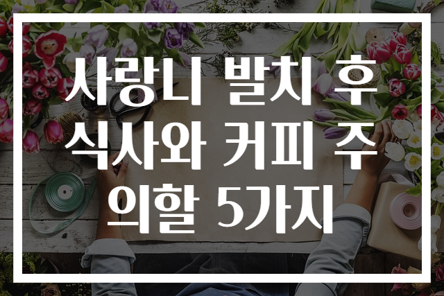 사랑니 발치 후 식사와 커피 주의할 5가지