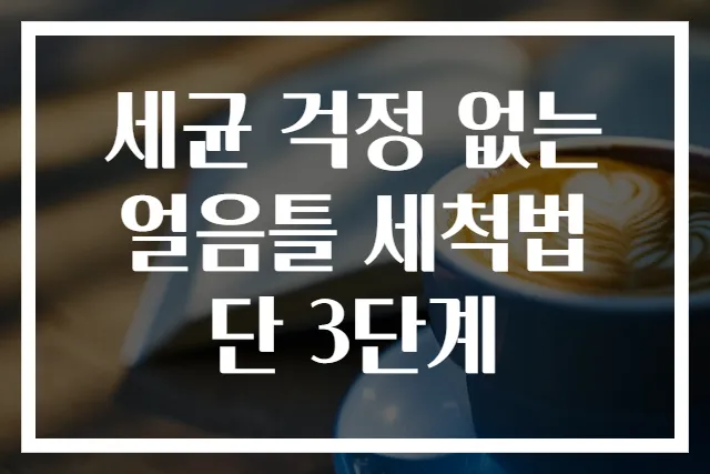 세균 걱정 없는 얼음틀 세척법 단 3단계
