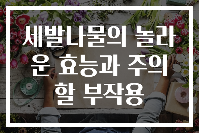 세발나물의 놀라운 효능과 주의할 부작용