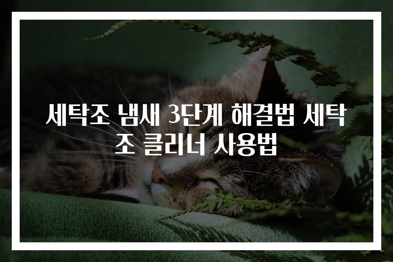 세탁조 냄새 3단계 해결법 세탁조 클리너 사용법