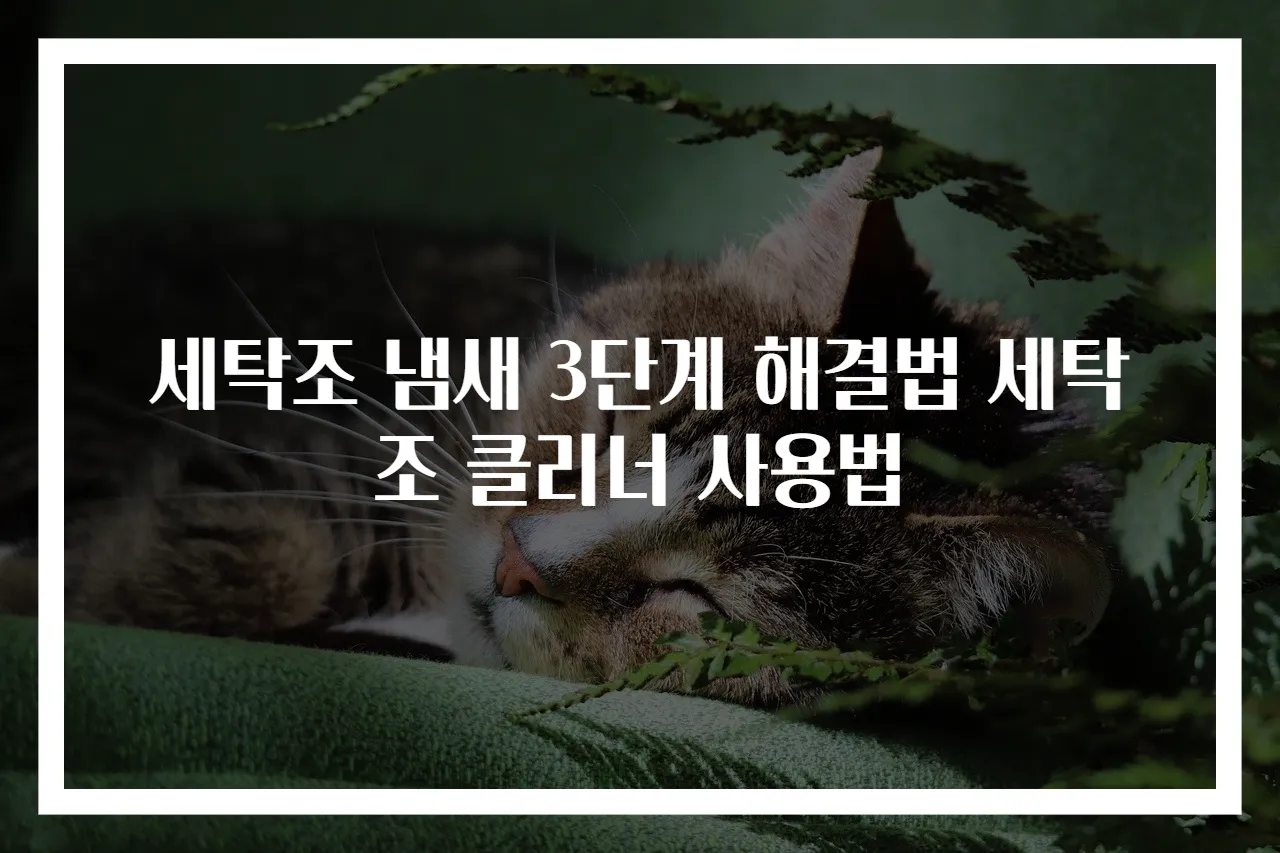 세탁조 냄새 3단계 해결법 세탁조 클리너 사용법