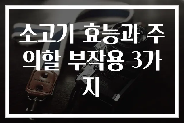 소고기 효능과 주의할 부작용 3가지