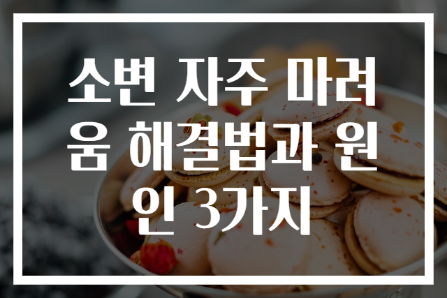 소변 자주 마려움 해결법과 원인 3가지