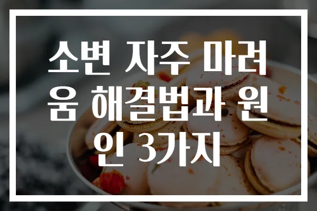 소변 자주 마려움 해결법과 원인 3가지