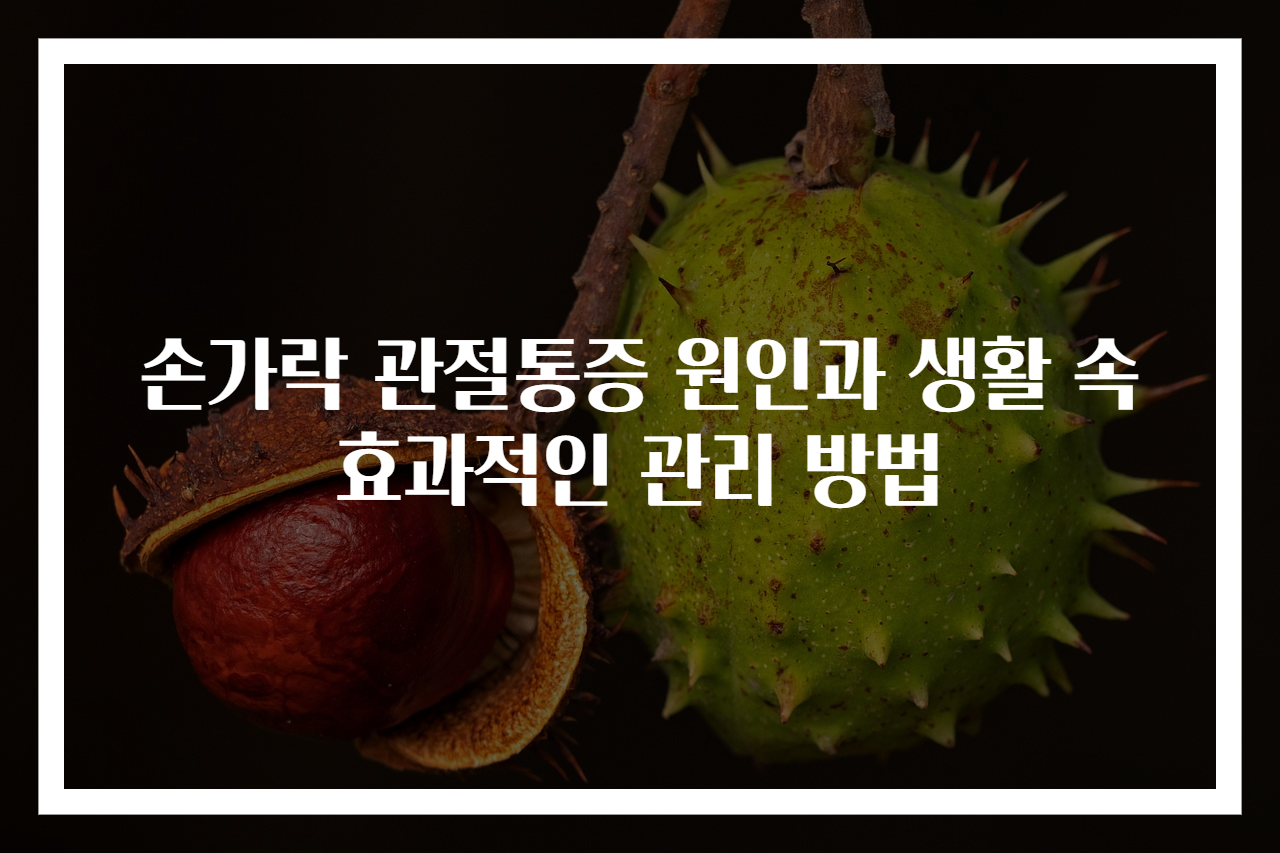 손가락 관절통증 원인과 생활 속 효과적인 관리 방법