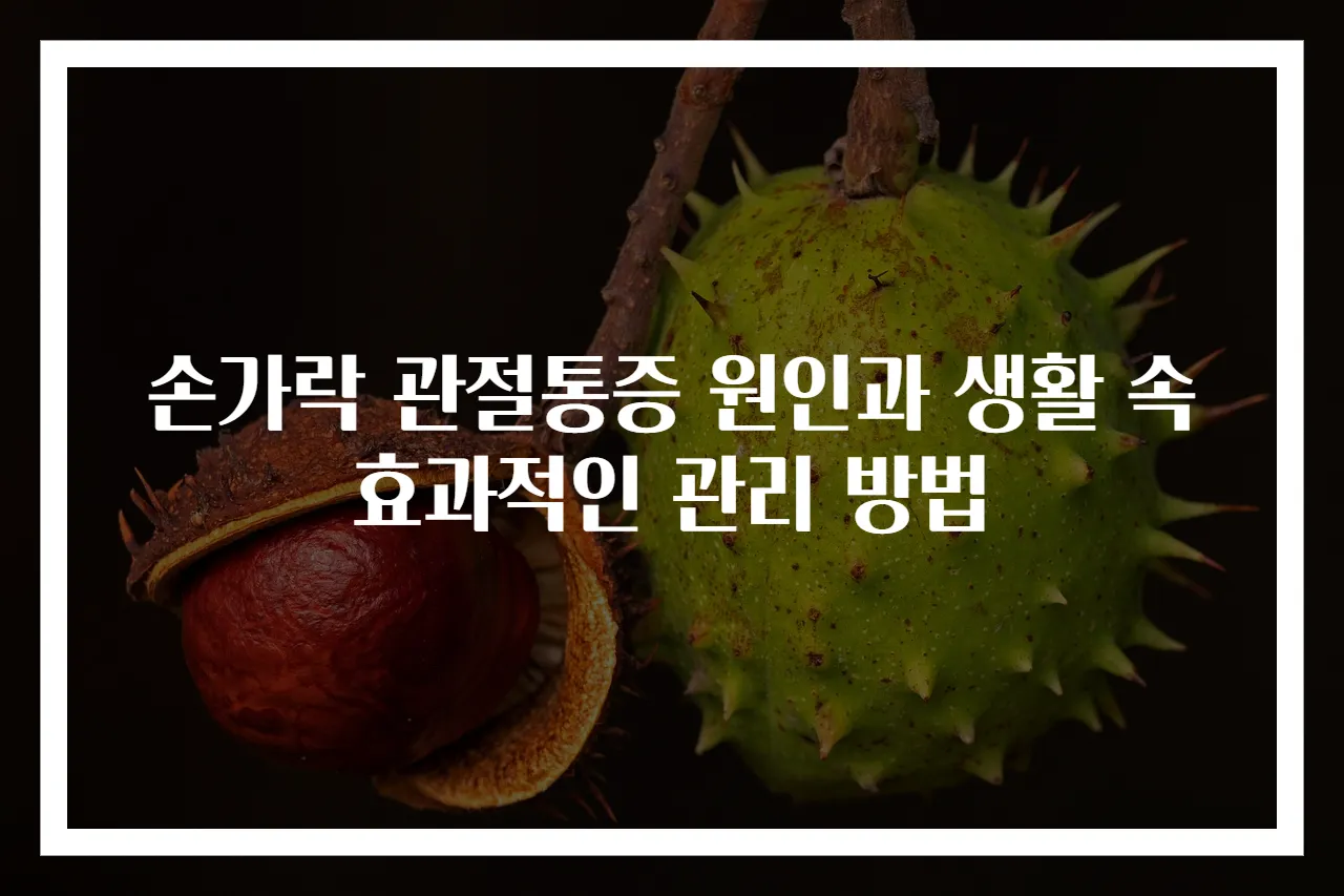 손가락 관절통증 원인과 생활 속 효과적인 관리 방법