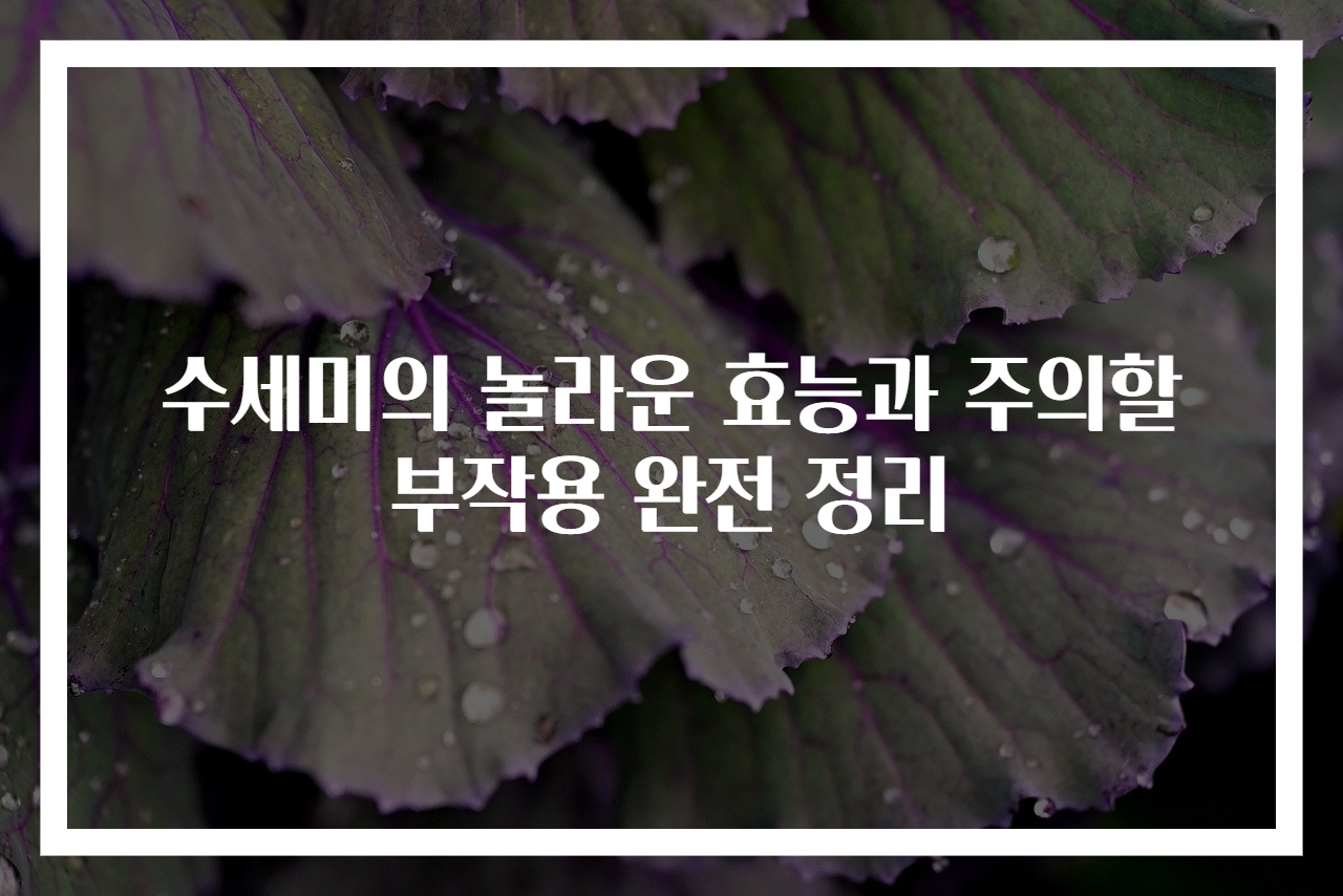 수세미의 놀라운 효능과 주의할 부작용 완전 정리