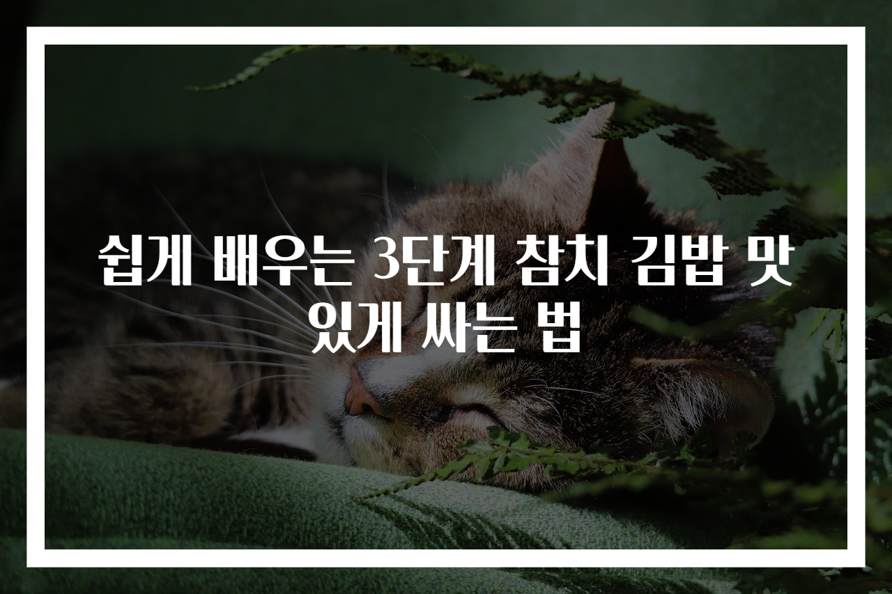 쉽게 배우는 3단계 참치 김밥 맛있게 싸는 법