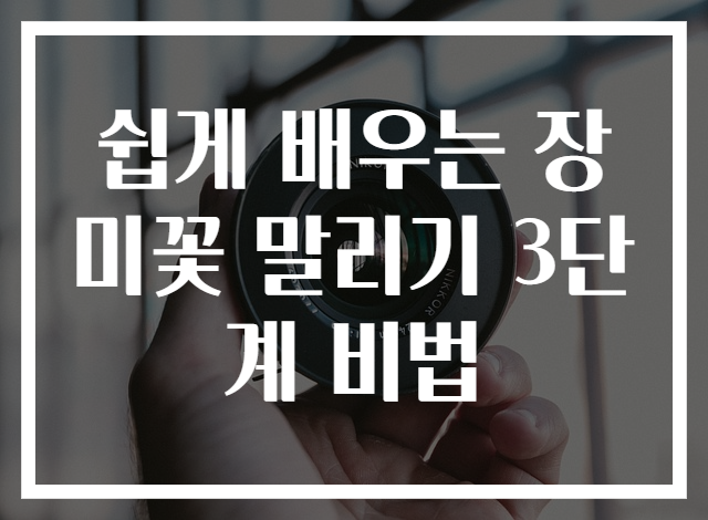 쉽게 배우는 장미꽃 말리기 3단계 비법