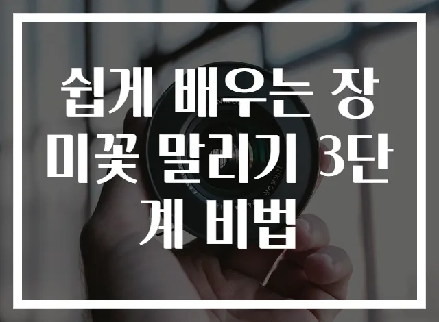 쉽게 배우는 장미꽃 말리기 3단계 비법