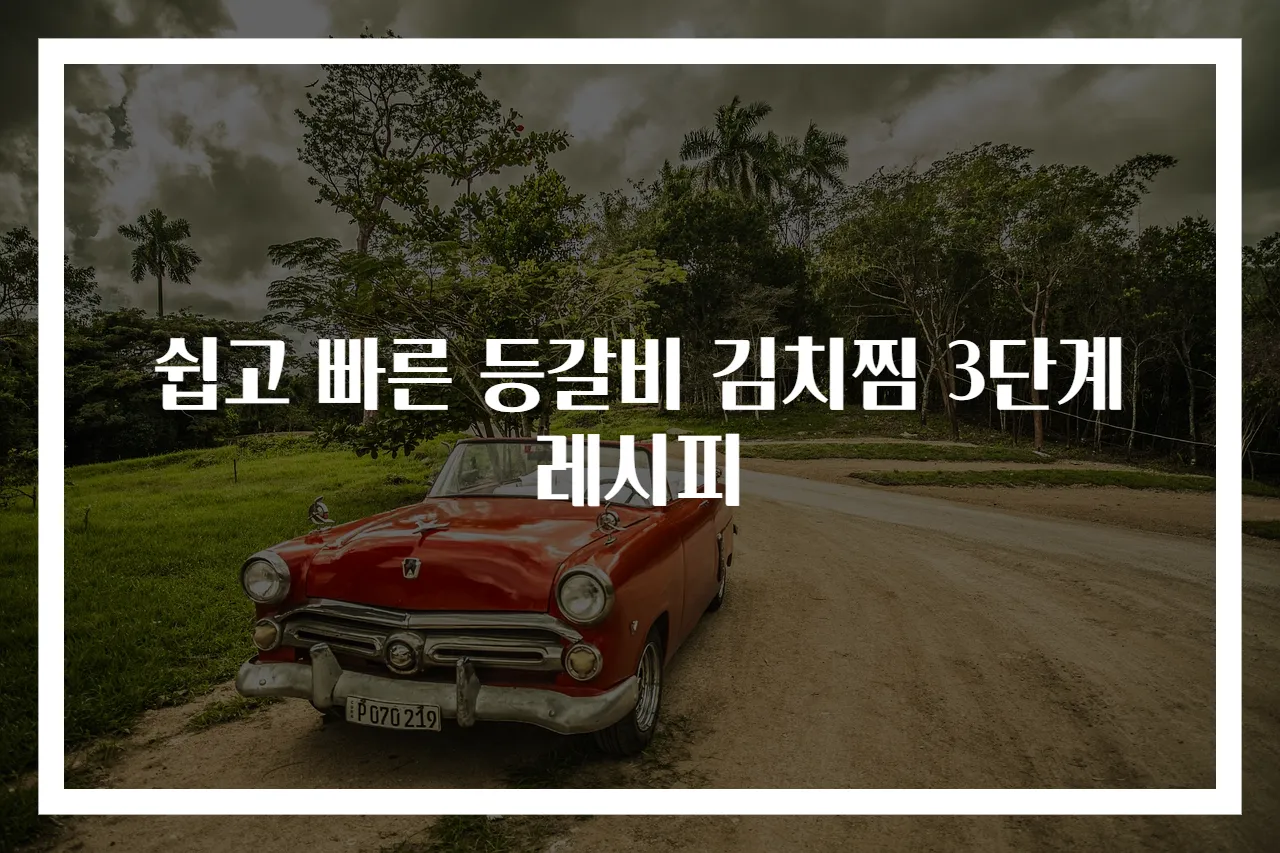 쉽고 빠른 등갈비 김치찜 3단계 레시피