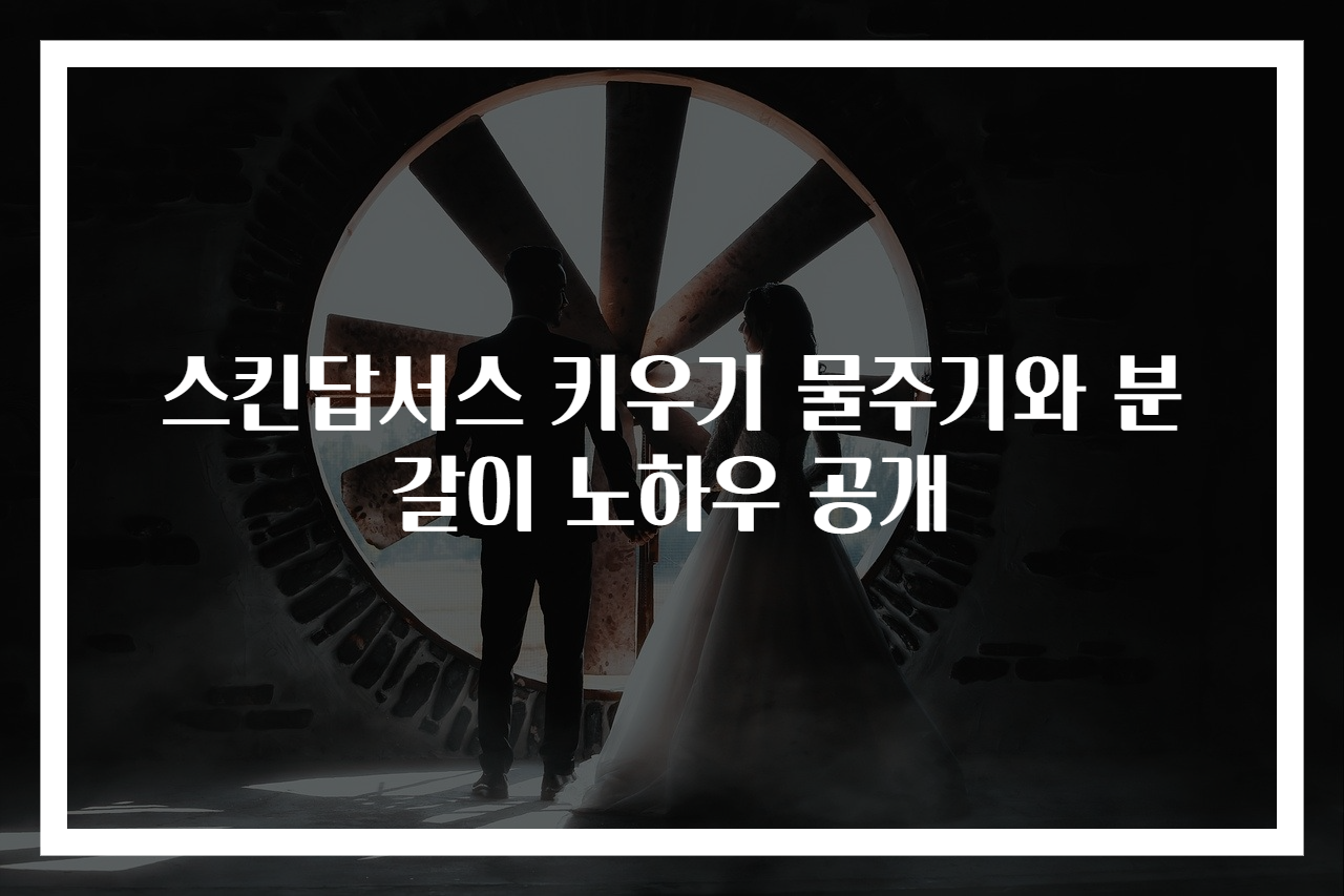 스킨답서스 키우기 물주기와 분갈이 노하우 공개