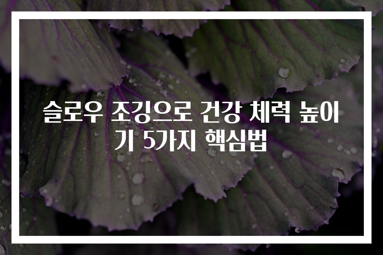 슬로우 조깅으로 건강 체력 높이기 5가지 핵심법