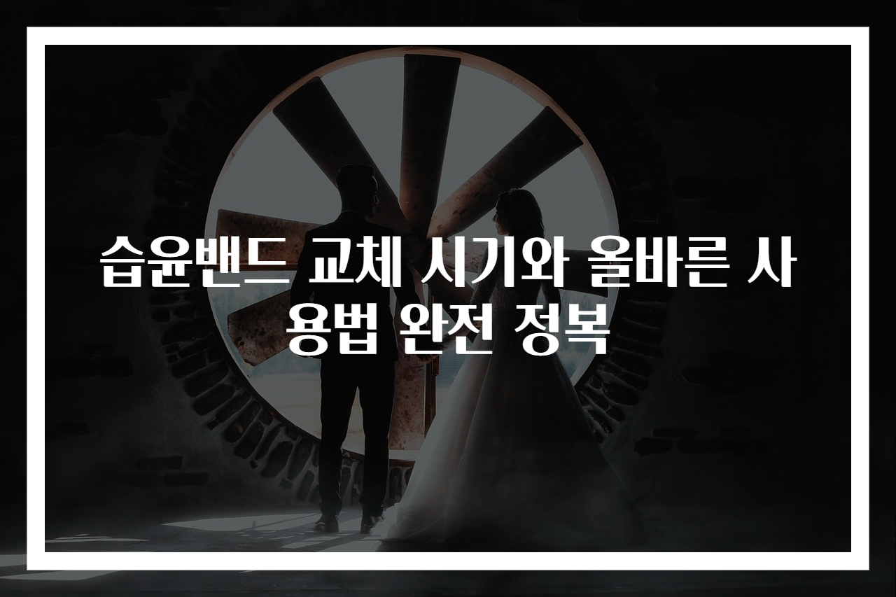 습윤밴드 교체 시기와 올바른 사용법 완전 정복