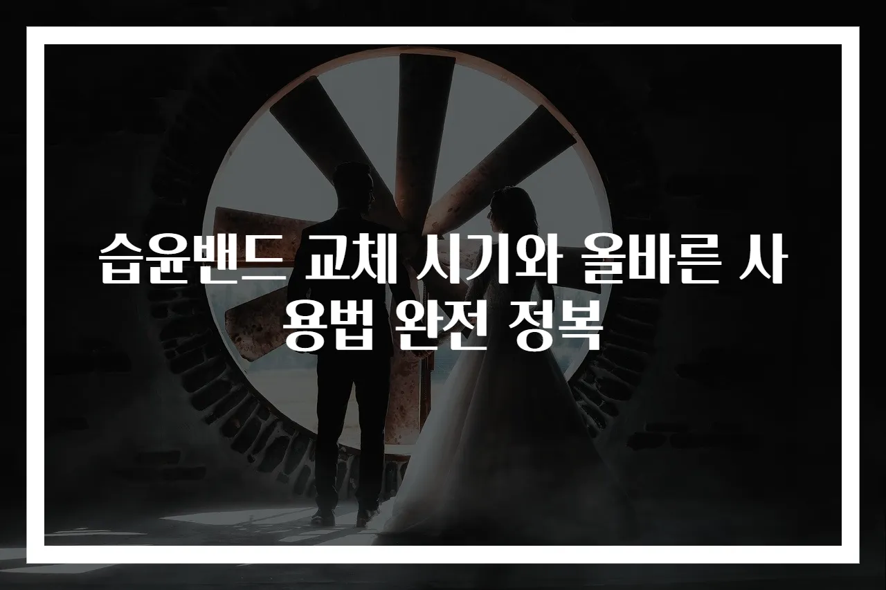 습윤밴드 교체 시기와 올바른 사용법 완전 정복