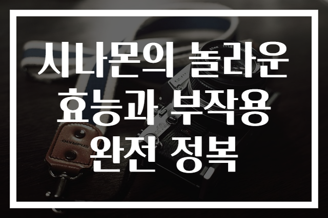 시나몬의 놀라운 효능과 부작용 완전 정복