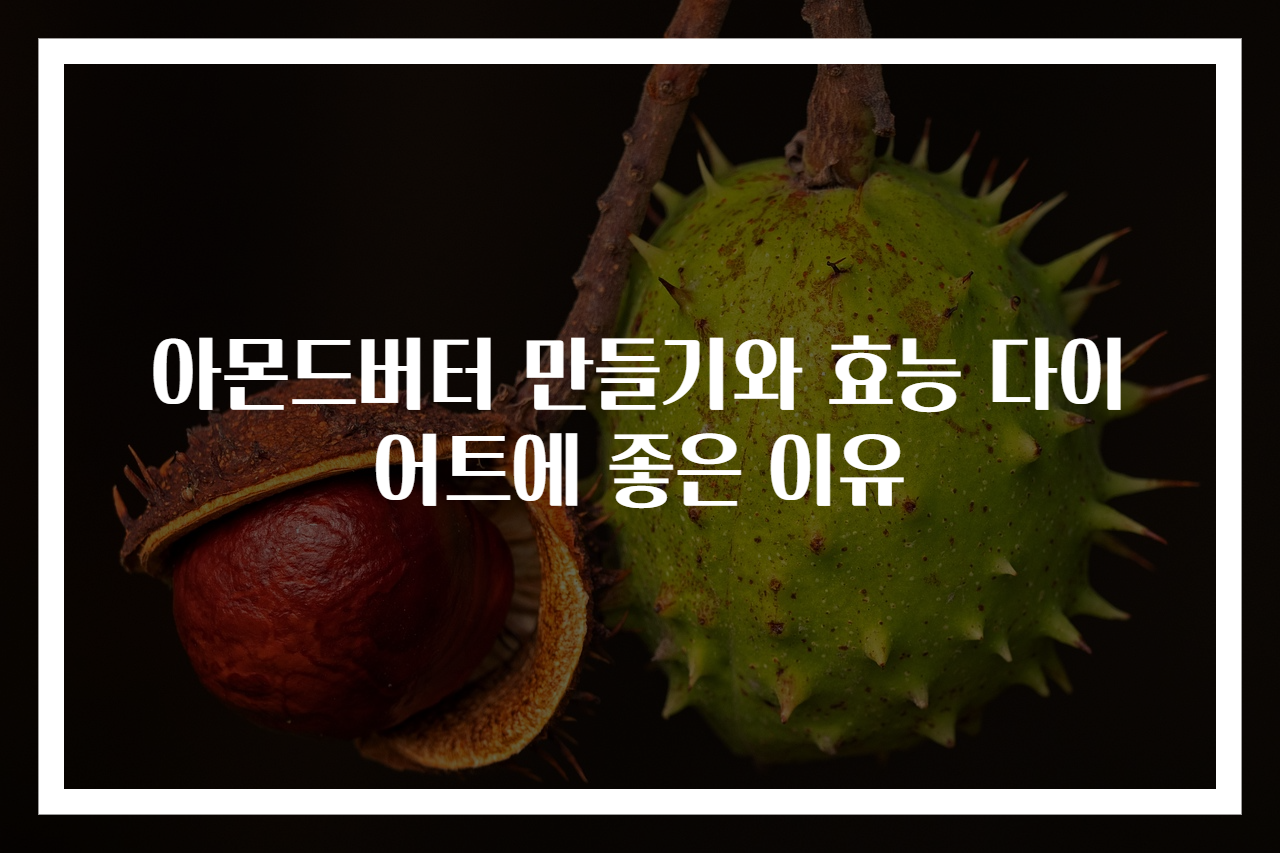 아몬드버터 만들기와 효능 다이어트에 좋은 이유