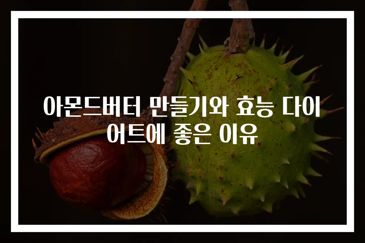 아몬드버터 만들기와 효능 다이어트에 좋은 이유