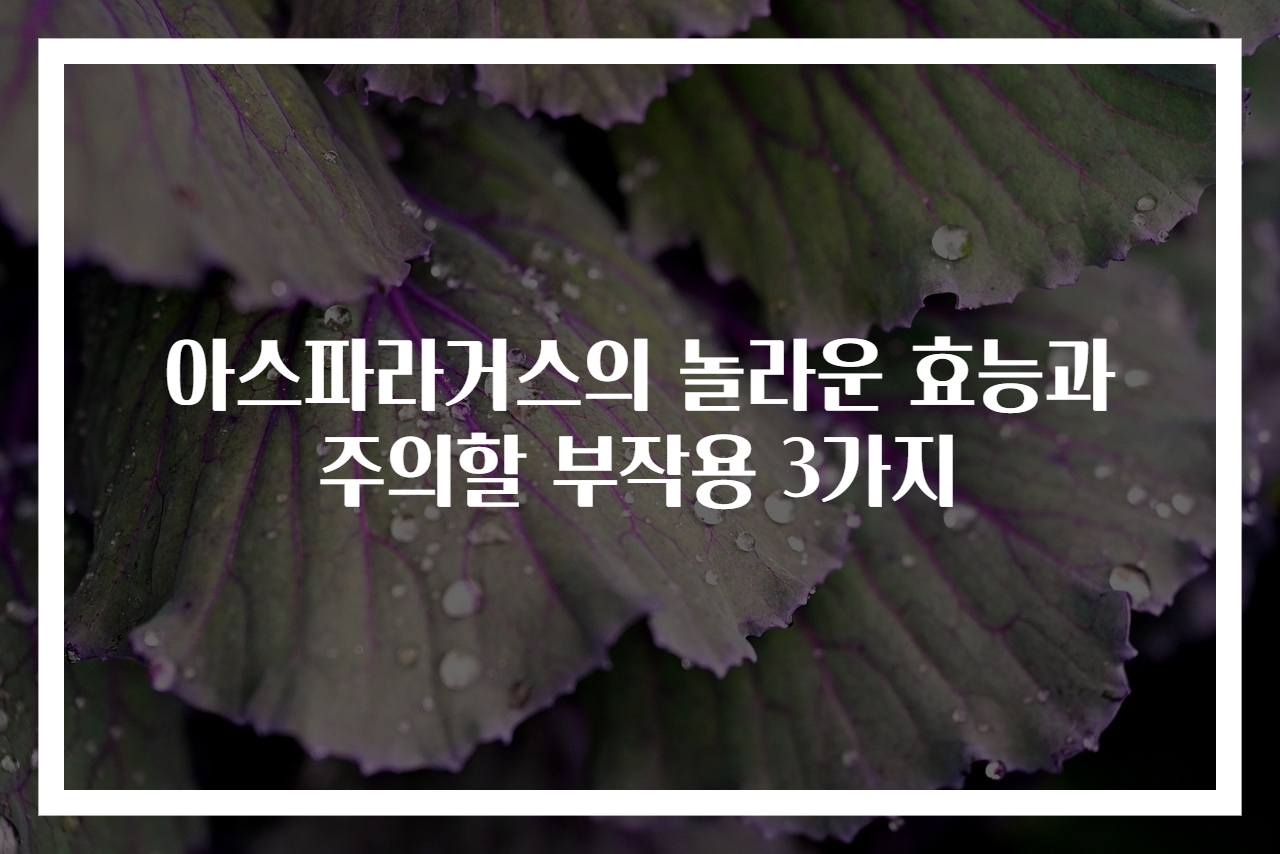 아스파라거스의 놀라운 효능과 주의할 부작용 3가지