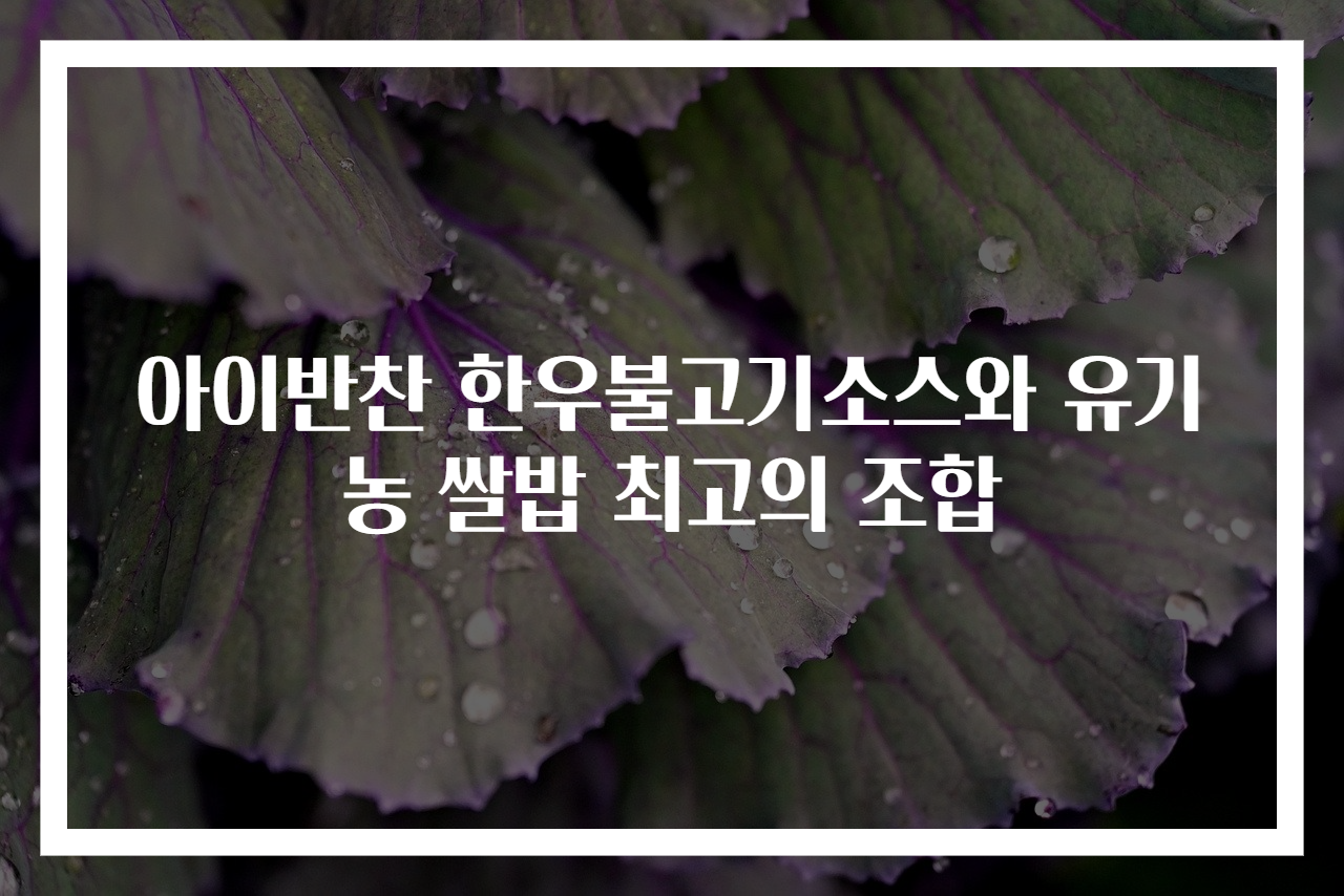 아이반찬 한우불고기소스와 유기농 쌀밥 최고의 조합