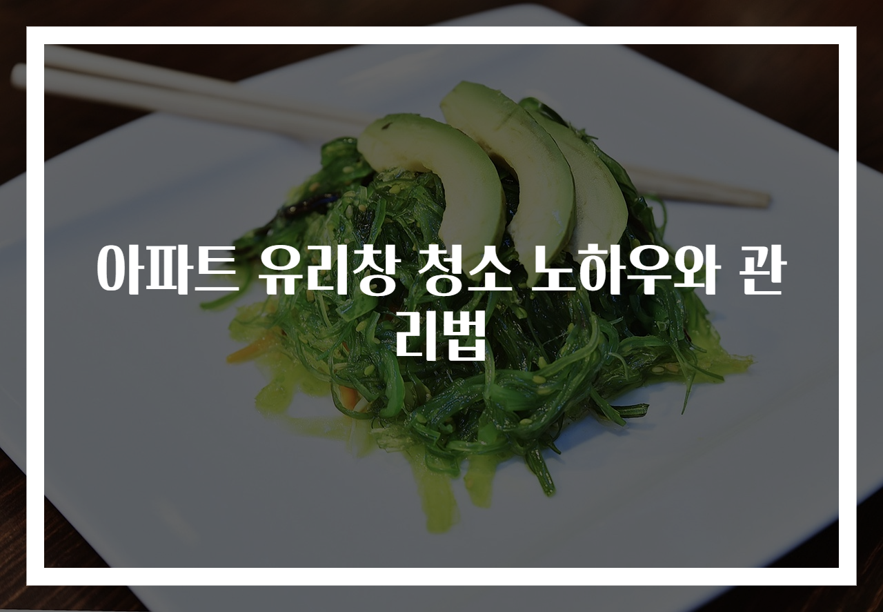 아파트 유리창 청소 노하우와 관리법