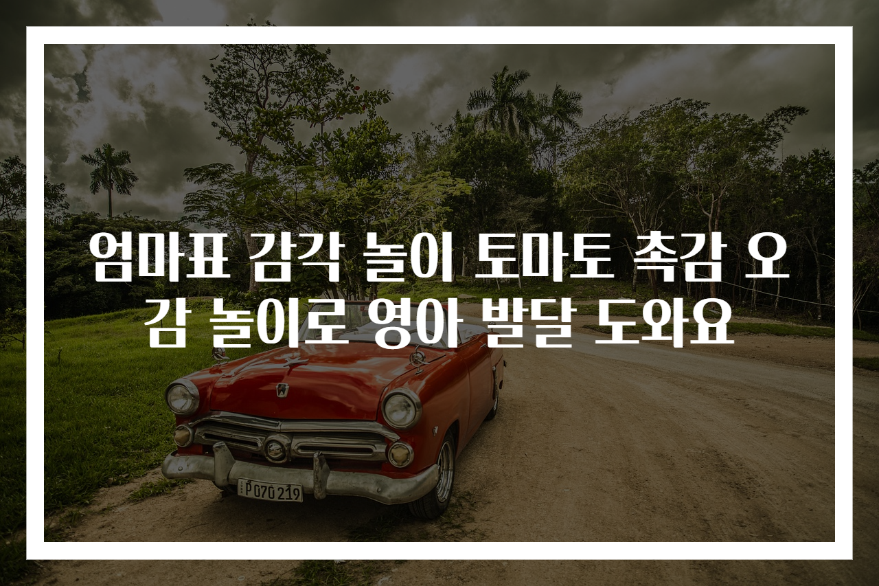 엄마표 감각 놀이 토마토 촉감 오감 놀이로 영아 발달 도와요