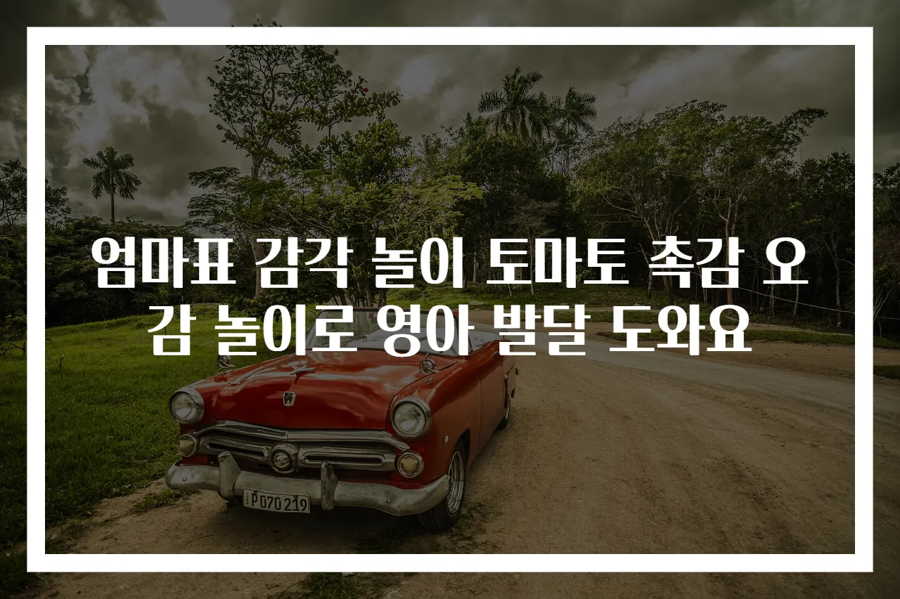 엄마표 감각 놀이 토마토 촉감 오감 놀이로 영아 발달 도와요