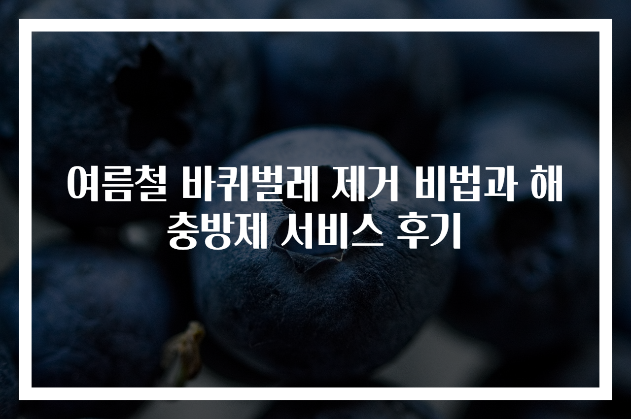여름철 바퀴벌레 제거 비법과 해충방제 서비스 후기