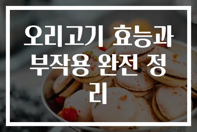 오리고기 효능과 부작용 완전 정리