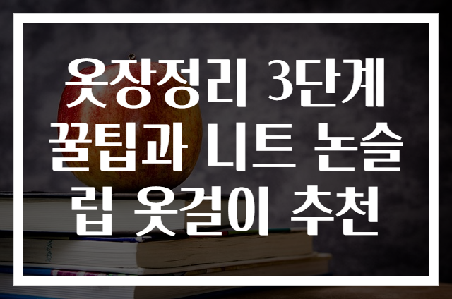 옷장정리 3단계 꿀팁과 니트 논슬립 옷걸이 추천