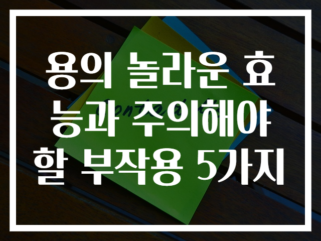용의 놀라운 효능과 주의해야 할 부작용 5가지