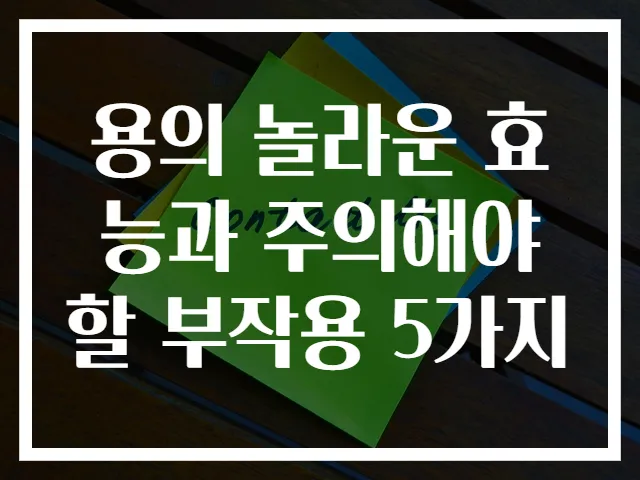 용의 놀라운 효능과 주의해야 할 부작용 5가지