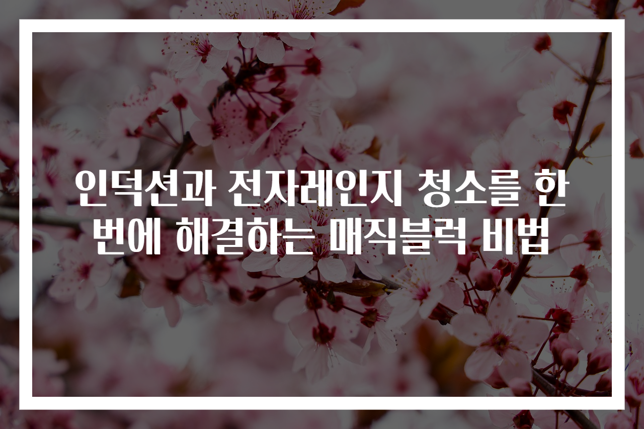 인덕션과 전자레인지 청소를 한 번에 해결하는 매직블럭 비법