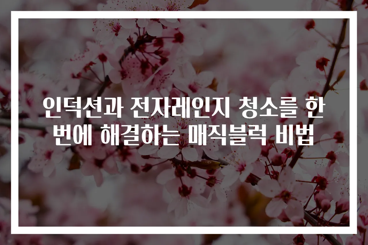 인덕션과 전자레인지 청소를 한 번에 해결하는 매직블럭 비법