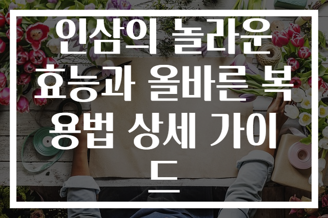 인삼의 놀라운 효능과 올바른 복용법 상세 가이드