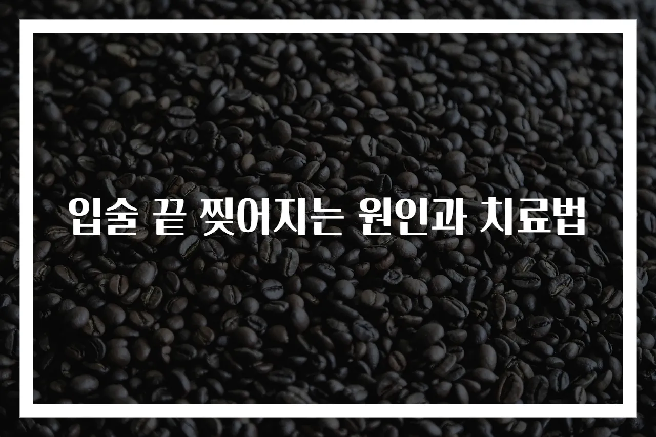 입술 끝 찢어지는 원인과 치료법